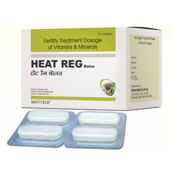 Heat Reg