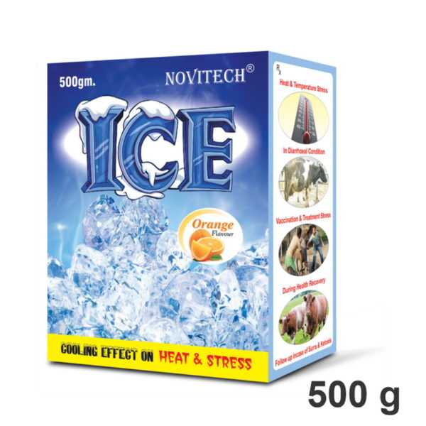Ice