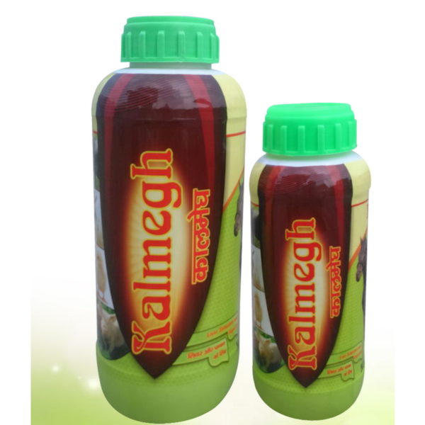 Kalmegh