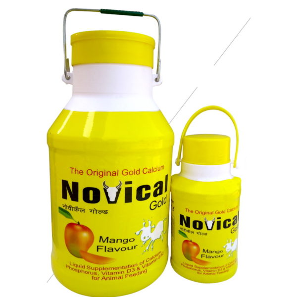 Novical