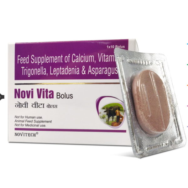 Novi Vita