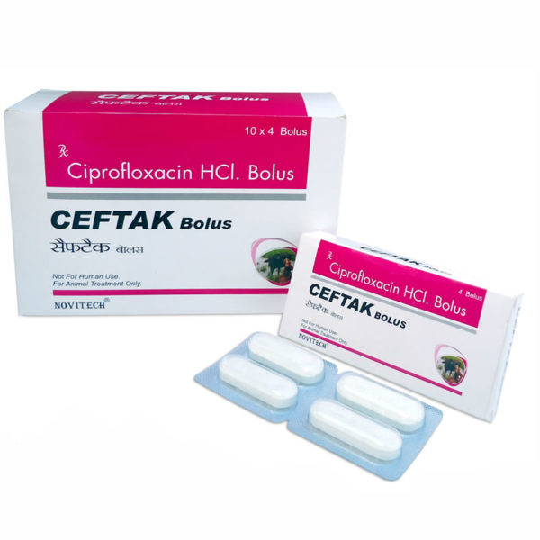 Ceftak Bolus