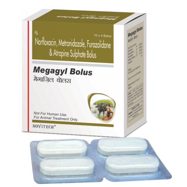 Megagyl Bolus
